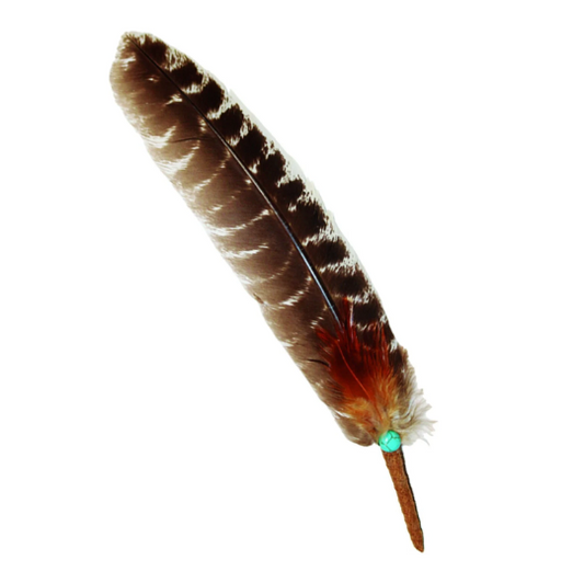 100% Real Turkey Smudge Feather with Turquoise Bead