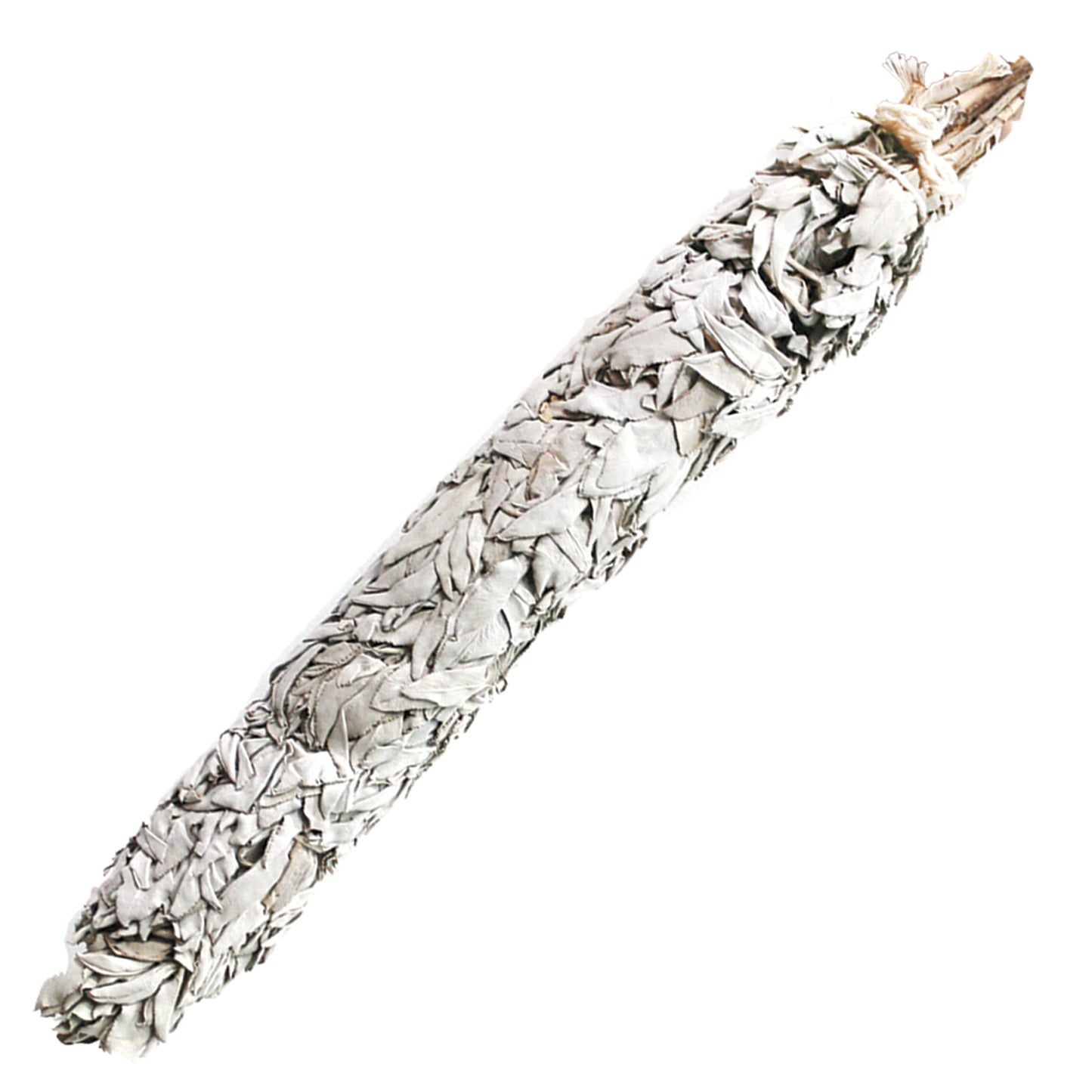 20" Jumbo White Sage Smudge Stick