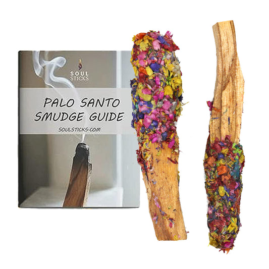 Dipped 7 Chakras Palo Santo Pops Duo with Smudge Guide