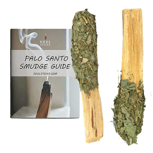 Dipped Eucalyptus Palo Santo Pops Duo with Smudge Guide