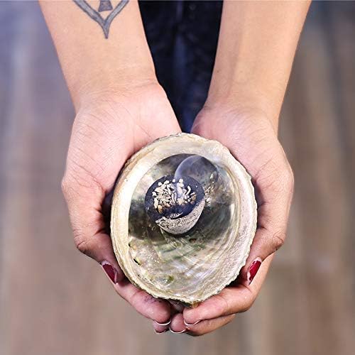 Dragon's Blood Incense Cups (3 PK)