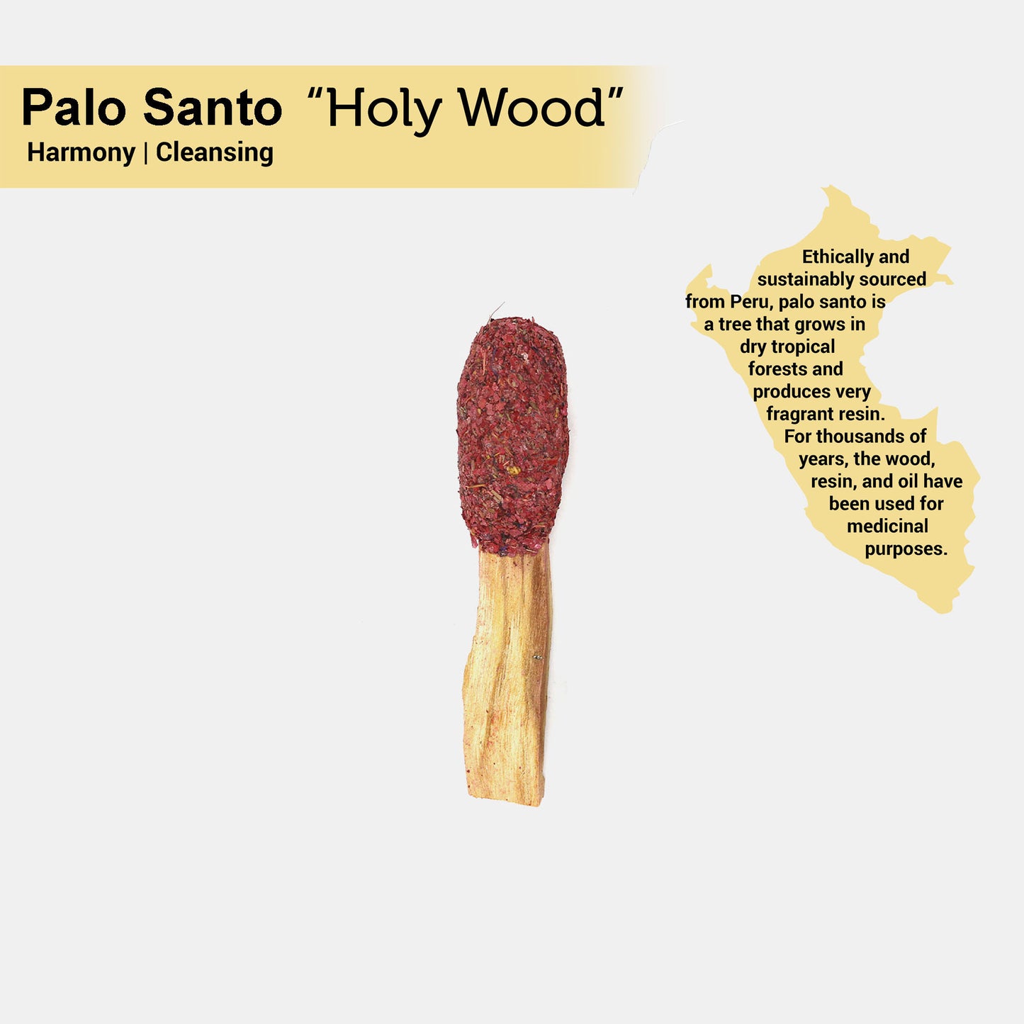 Dragon's Blood Sage Palo Santo Pops Duo with Smudge Guide