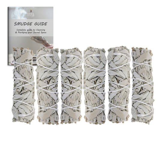 White Sage Smudge Sticks with Smudge Guide (6 PK)