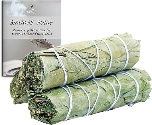 Eucalyptus Sage Smudge Sticks with Smudge Guide (3 PK)