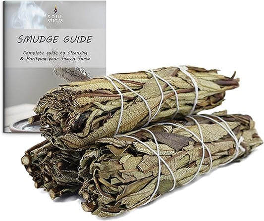 Yerba Santa Sage Smudge Sticks with Smudge Guide (3 PK)