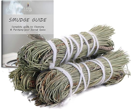 Pine Sage Smudge Sticks with Smudge Guide (3 PK)